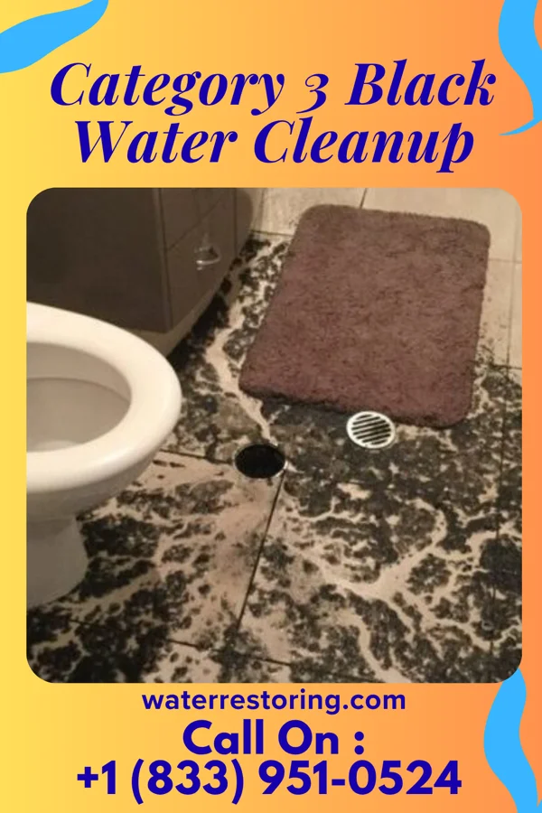 Category 3 Black Water Cleanup in Girard, IL